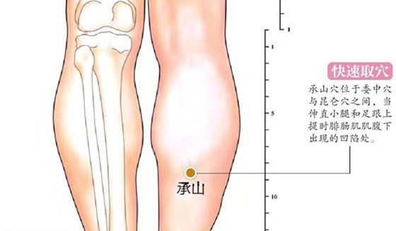 承山穴3.jpg