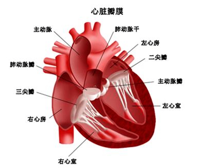 1540278336780657.png
